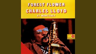 Song Of Her (Live@Monterey)