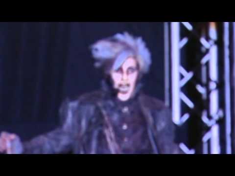 FATURA (Wr. Stadthalle, live)