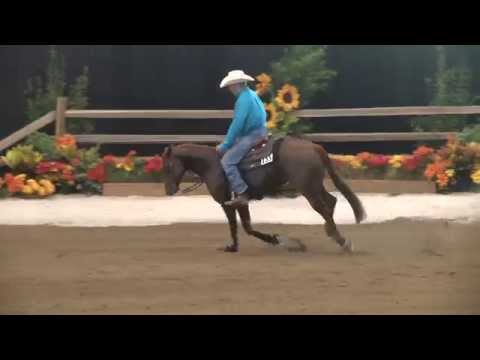 Mizzen Whiz ridden by Stoney Russell - 2014 Heritage Futurity(Nov. Horse NP / AQHA Amateur)
