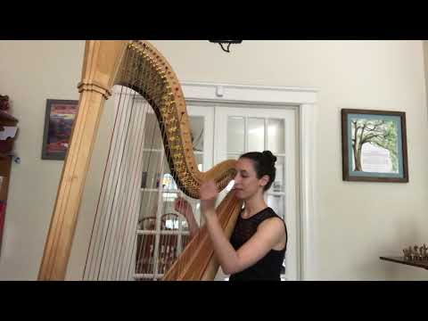 J.S. Bach’s “Sarabande” from Violin Partita No. 1