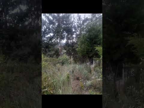 VENTA DE BODEGA EN GUARNE ANT,CON CASA 🏡 Y CON TERRENO PARÁ CONSTRUIR 2 BODEGAS. VALOR:2.800.000.000