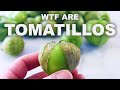 Why tomatillos aren't just little green tomatoes (and why they're awesome)