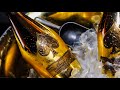 The Most Expensive Champagne In The World