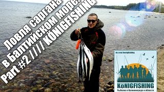 Ловля рака в калининграде