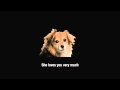 15 Second Pet Lady Adult Swim Bump