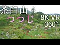 channel