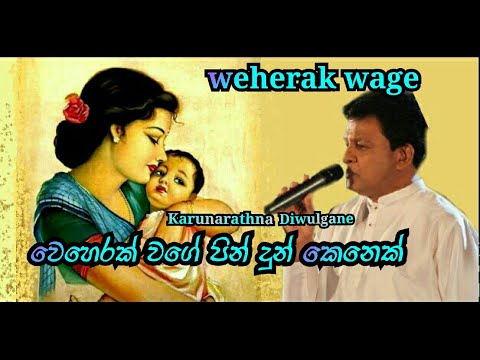 වෙහෙරක් වගේ පින් දුන් කෙනෙක්..Karunarathna Divulgane~Weherak Wage