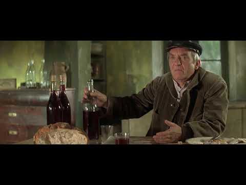 Le Glaude chez le médecin - La soupe aux choux - 1981