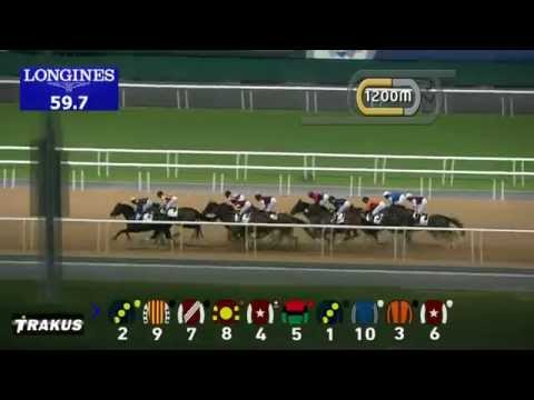 18.12.2014 Meydan (Dubai-UAE) 2.Race The Lincoln MXZ Trophy- Maiden 2.000 m