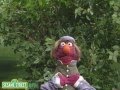 Sesame Street Romeo And Alphabet With Telly