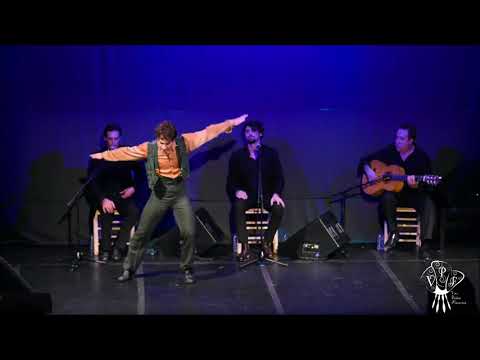 Fernando Jiménez Torres Flamencos y Mestizos