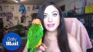 YouTube video