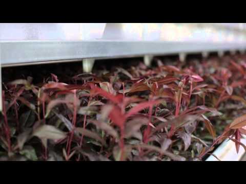 AGROMILLORA - CORPORATE VIDEO