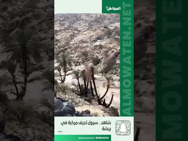 شاهد.. سيول تجرف مركبة في بيشة