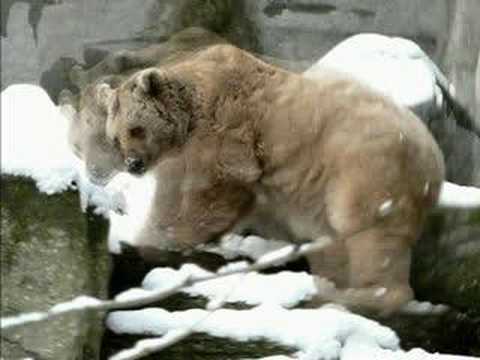 Supermayer - Tiergarten