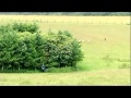 2010 BBC One Man And His Dog