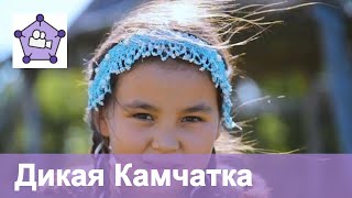 Камчатка осенью. Медведи, лосось, вулканы, вертолеты, гейзеры.