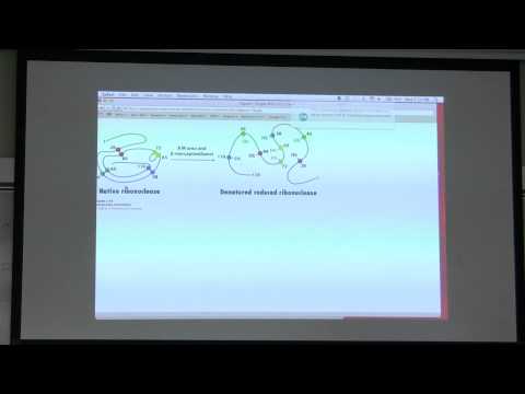 Kevin Ahern's BB 450/550 Lecture #1 for June 22 - Protein Structure and Purification