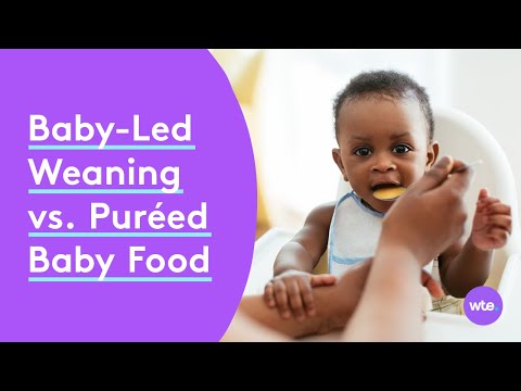 Baby - led weaning vs. puréed baby food-differences, how to start