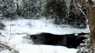 preview picture of video 'Gateway Creek on the Fen Lake Ski Trail - Algonquin Park'