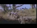 Shivaji Maharaj He Hindu Shakti