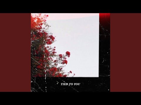 Tied to You