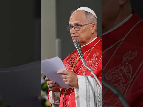 Pope Leo meets with Catholic community of San Marino (Vatican News)