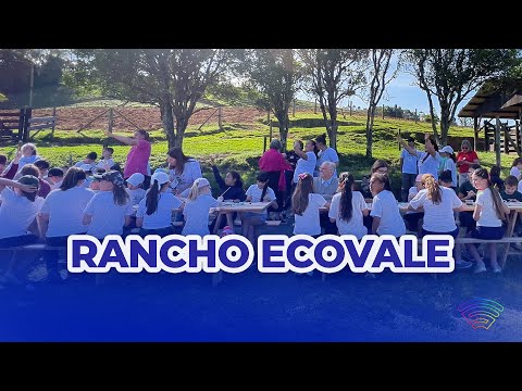 Itens da natureza se transformam em tinta no interior de Chapadão do Lageado