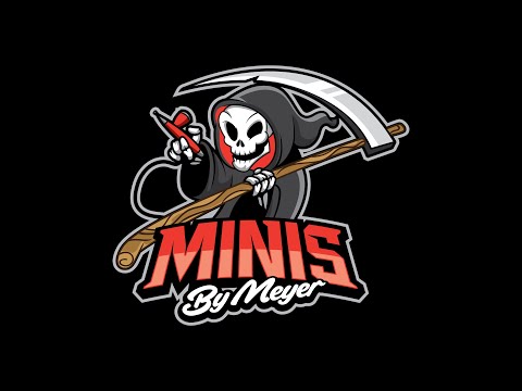 PAINTING TECH MARINE AND CHAMPION