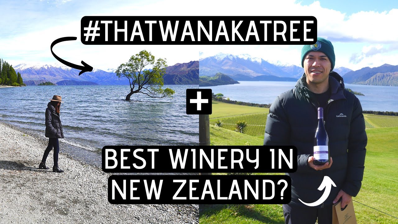 Join travelers on a captivating visit to Rippon Vineyard & Winery.