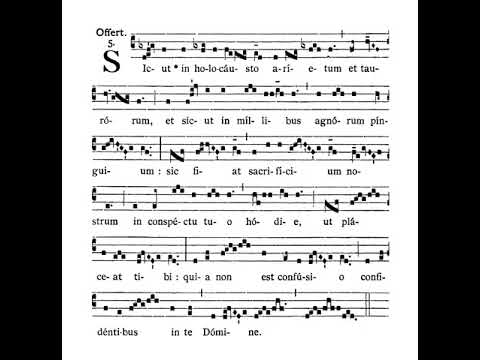 The Choir of St Peter's Eastern Hill: Sicut in holocausto