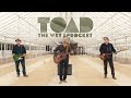 Toad The Wet Sprocket - Transient Whales (Official Video)