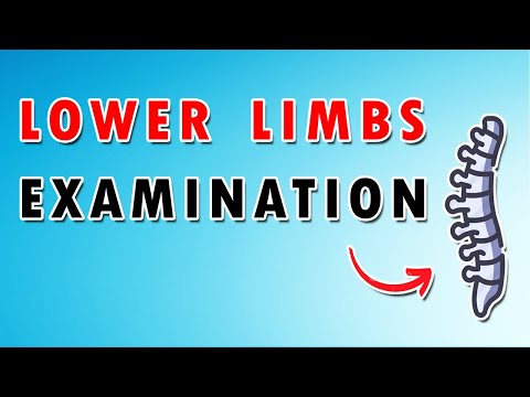 Neurological Evaluation Of The Lower Limb and Lumbar Nerve Roots   Motor, Sensory, and Reflexes