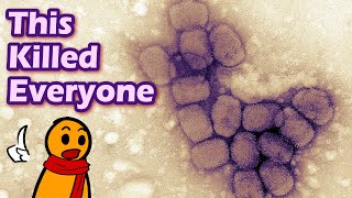 The Deadliest Disease in All Japanese History