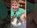 Petting Aggression In Cats