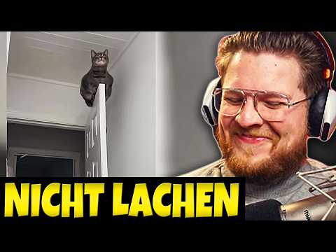 I laugh, I pay (it's going to be expensive)