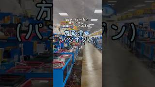 韓国のローカル市場さばきたての魚が食べられる穴場🐟