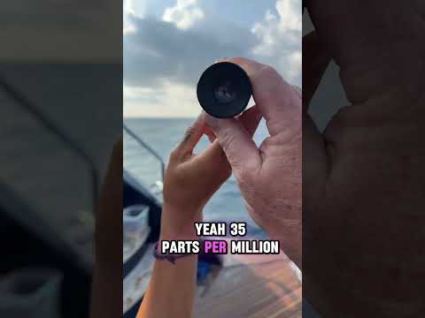 Shark Research 101: Why Salinity Testing Matters! 🌊🦈 | Mission Tiburón