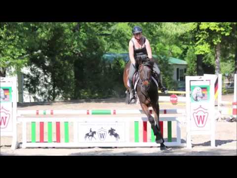 Peter Pan (Popeye x Der Feine Lord) GRP 14.2 hd