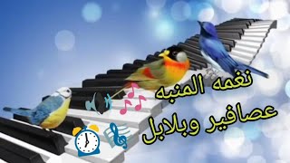 نغمه رنين للمنبه بصوت العصافير والبلابل في الصباح روعه