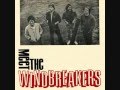 The Windbreakers - Young Republicans