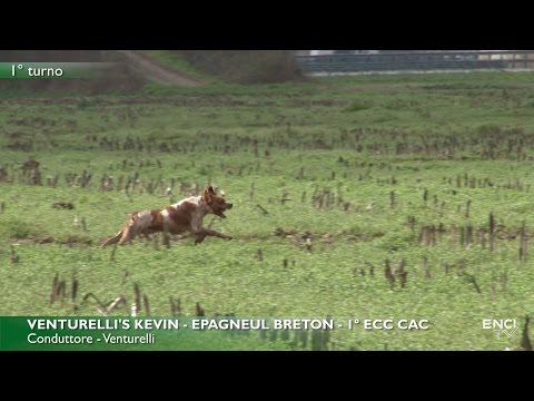 DERBY CONTINENTALI 2017 - TURNI DI COPPIA E PREMIAZIONI CONTINENTALI ESTERI