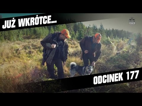 Darz Bór zapowiedź odcinka 177