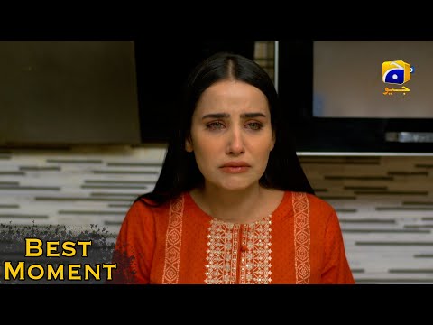 Grift Episode 92 || Ali Abbas - Saniya Shamshad || 𝐁𝐞𝐬𝐭 𝐌𝐨𝐦𝐞𝐧𝐭 𝟎𝟖 || Har Pal Geo