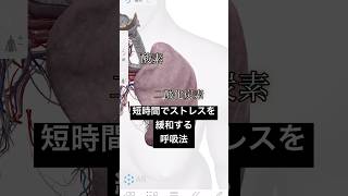 【ストレス緩和の呼吸法】サイクリックサイ #セルフケア #心のバランス #呼吸法　#ストレス解消