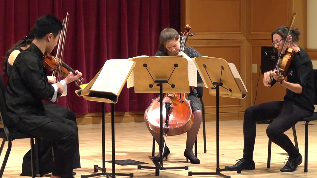 Promotional video thumbnail 1 for Colorado Red Rock String Quartet