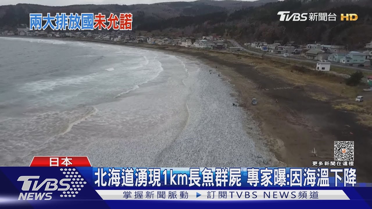 COP28共118國簽再生能源提升3倍 中印沒加入