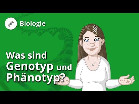 Genotyp und Phänotyp: Definition, Beispiele und Allele – Biologie | Duden Learnattack