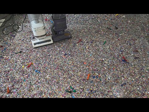 Er-Thang Mix with Dino Rug 🦕 Mic 🎤 Lavish Shark 💜