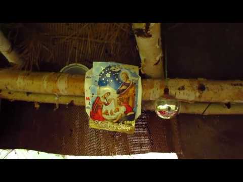 Szałas bezdomnego głeboko w lesie / Shelter of homeless in a deep forest